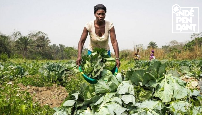 L’ONU plaide pour l’accès des femmes à l’égalité dans les systèmes agroalimentaires