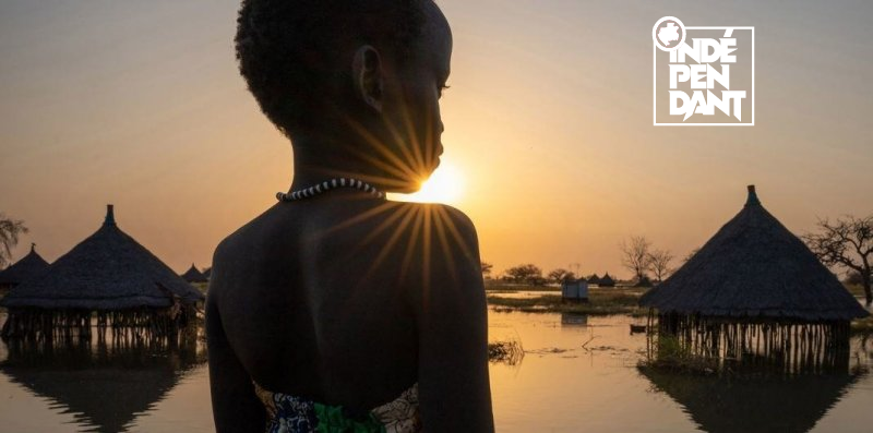 Les contentieux liés au climat ont plus que doublé en cinq ans