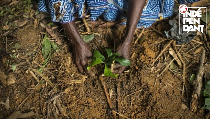 «&nbsp;Nous devons mettre un terme à ces guerres insensées contre la nature&nbsp;»