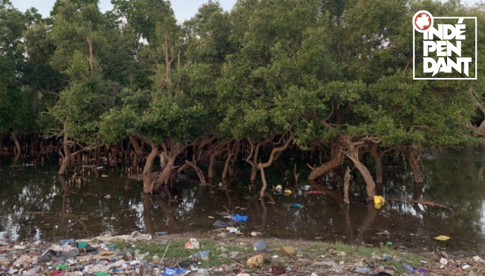 L’Afrique détient le pouvoir et les outils pour redessiner un avenir sans pollution plastique