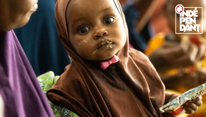 Somalie&nbsp;: un soutien urgent est nécessaire pour les communautés rurales confrontées à la famine